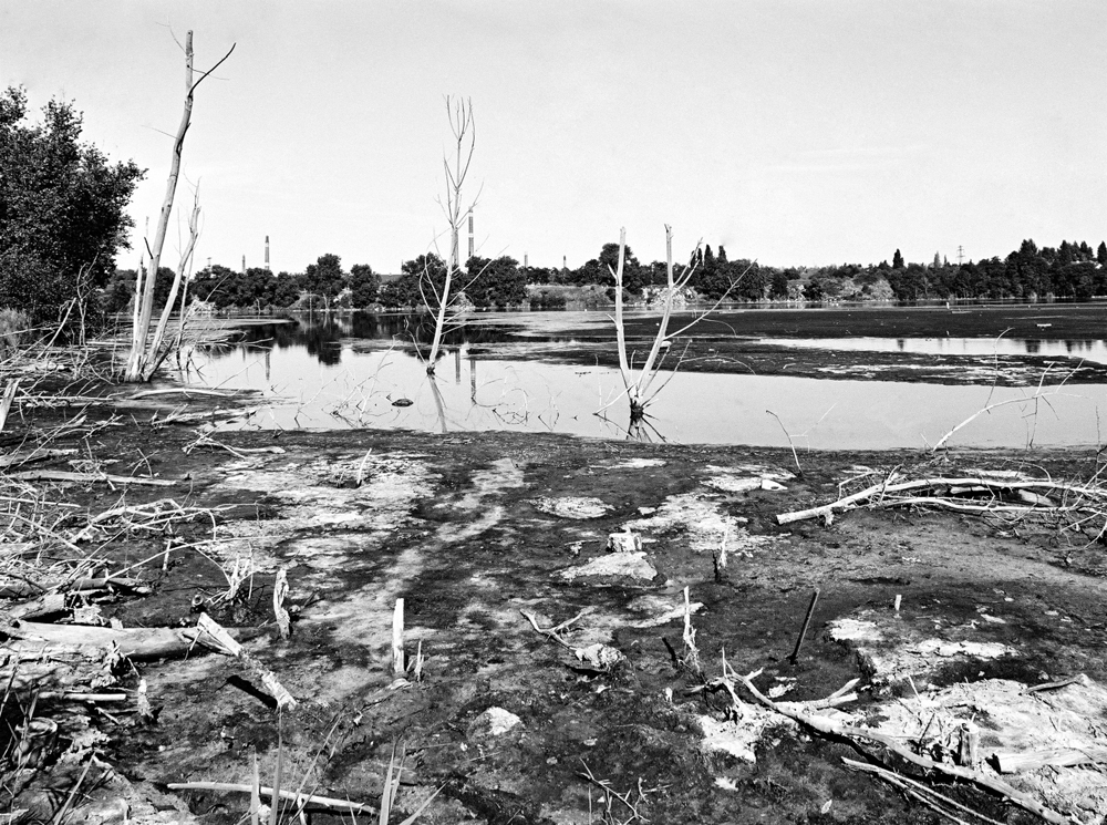 Durch Einleitung von Abwässern verschmutztes Ufer des Silbersees. Das Foto stammt vom 12. August 1991. Quelle: Bundesregierung / Joachim F. Thurn